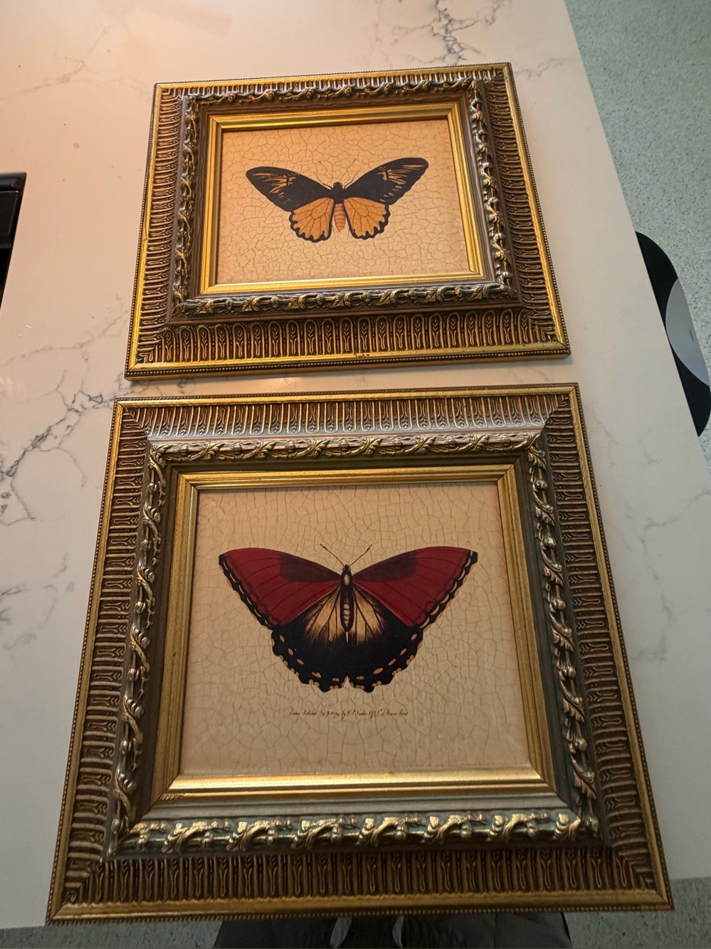 Gold-Framed Butterfly Prints in Red and Orange